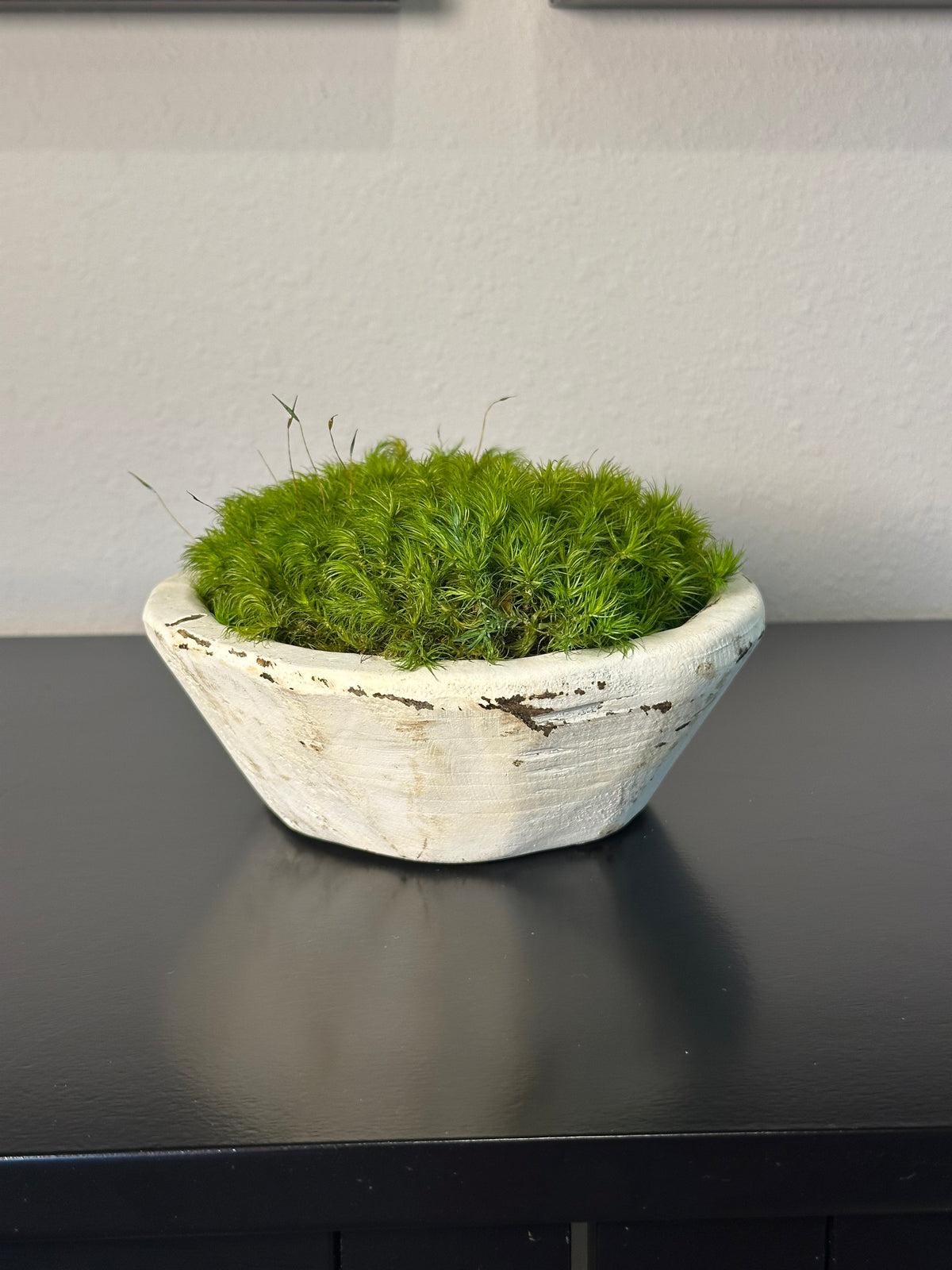 Rustic white hand-carved bowl filled with bright green preserved moss displayed on a black tabletop.