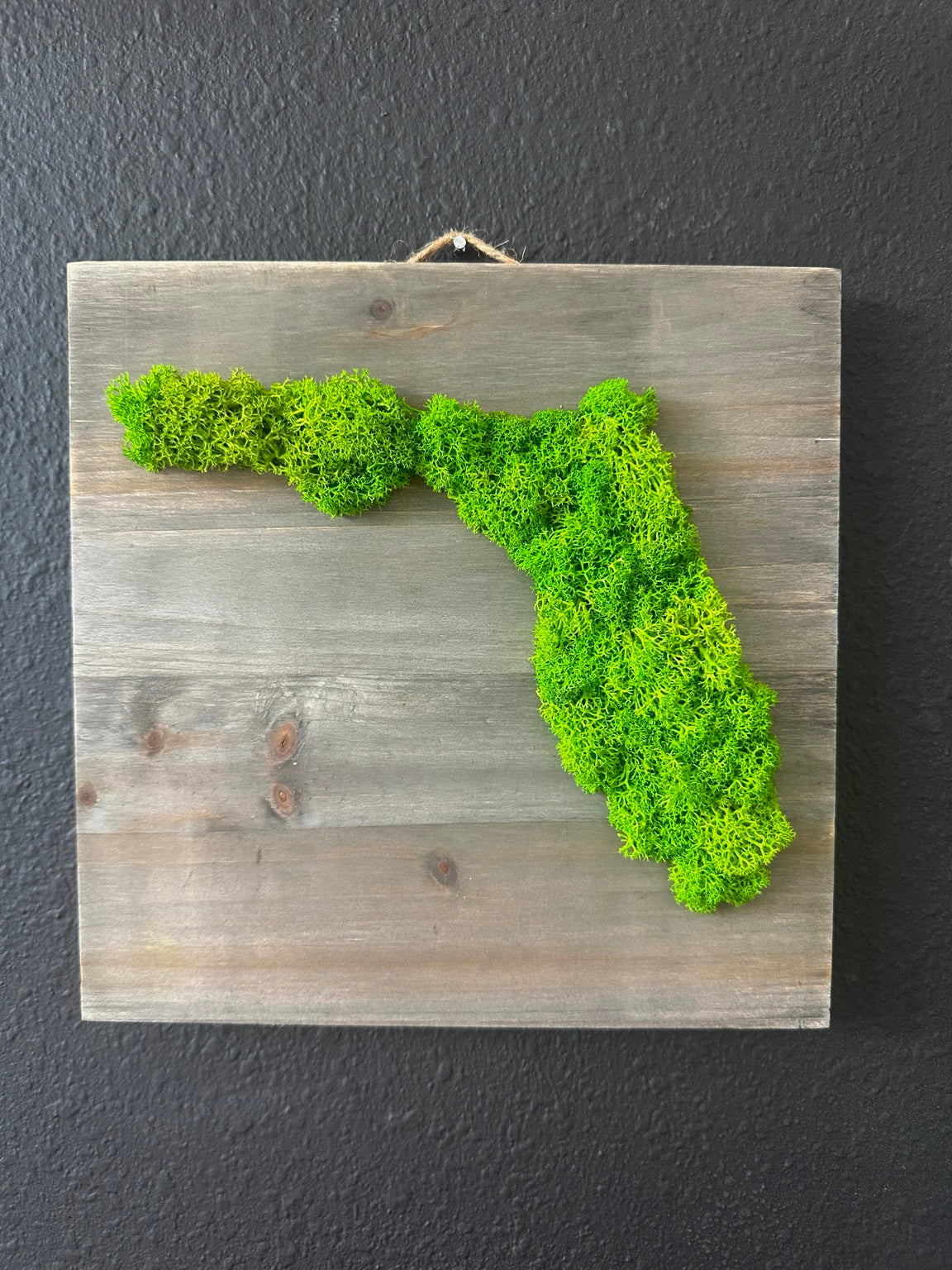 Bright green preserved moss in the shape of Florida on a square gray stained wood plaque with a rope hanger.