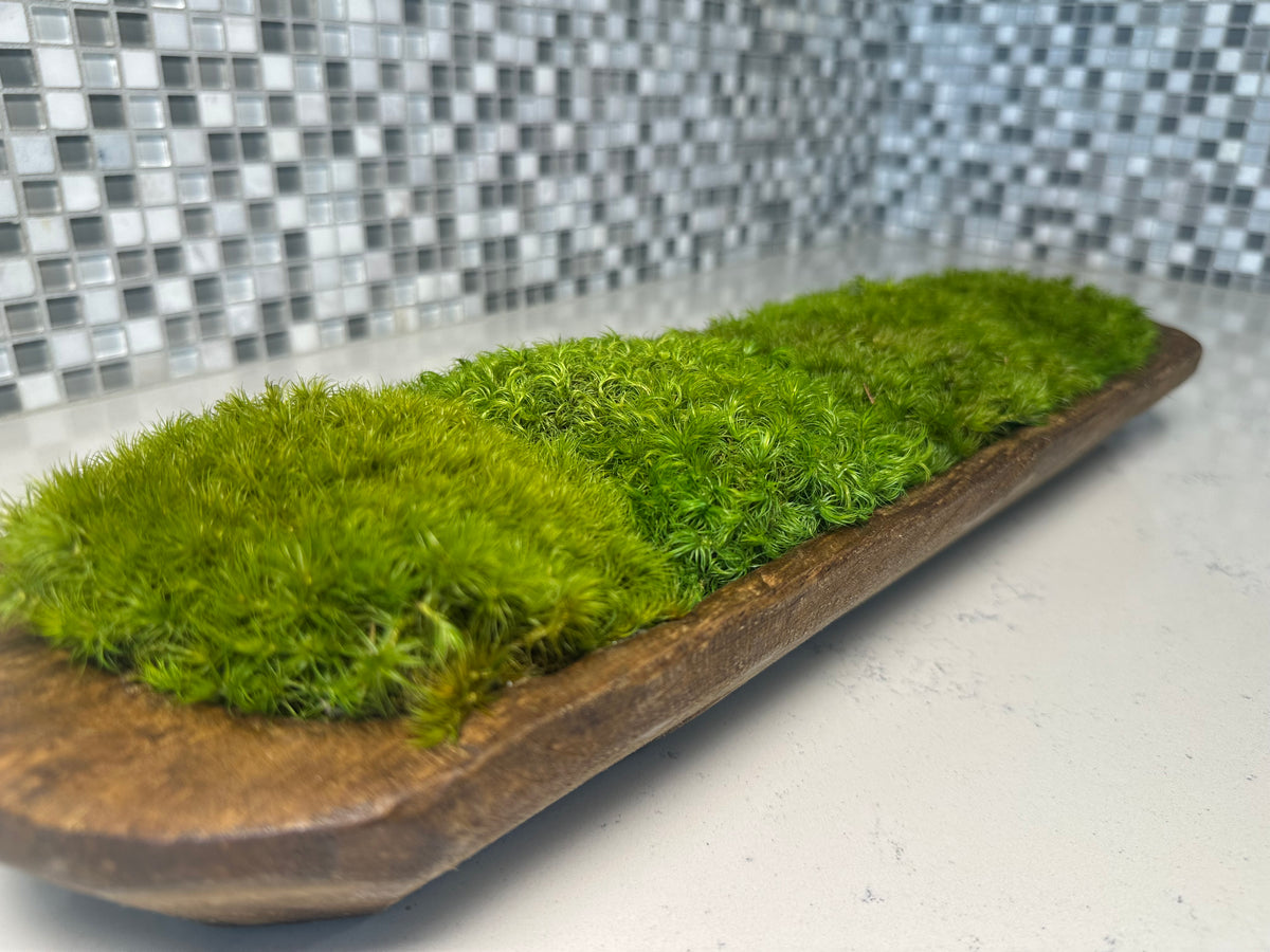 Close-up along a long wood dough bowl showing the soft texture of green preserved moss and the carved wood rim.