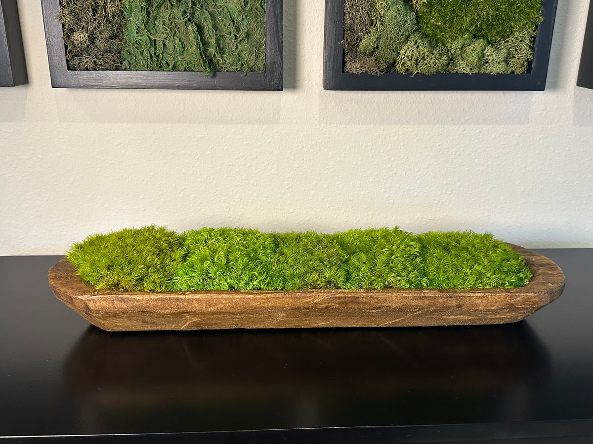 Front view of a long rustic wood dough bowl filled with green preserved moss mounds on a black tabletop.