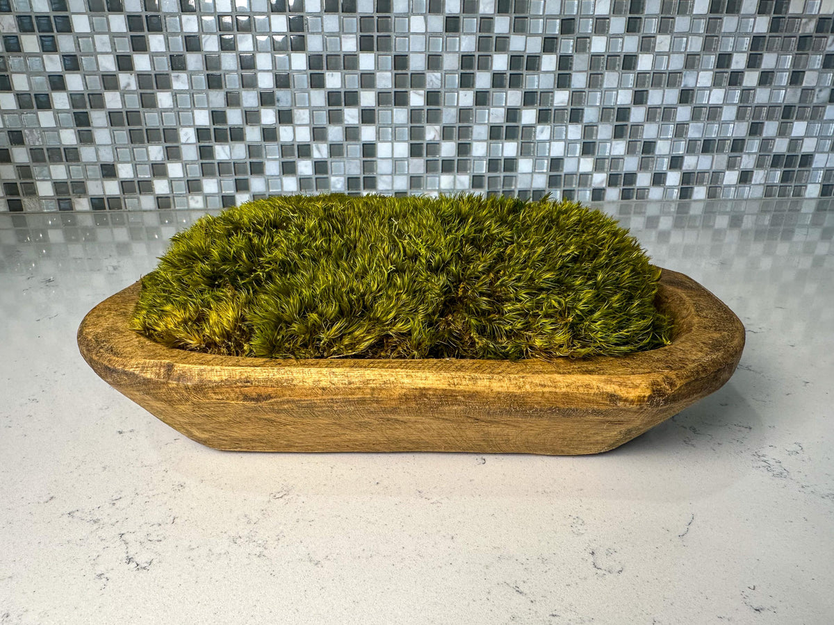 Side view of hand-carved wooden moss bowl filled with dark green preserved pillow moss.