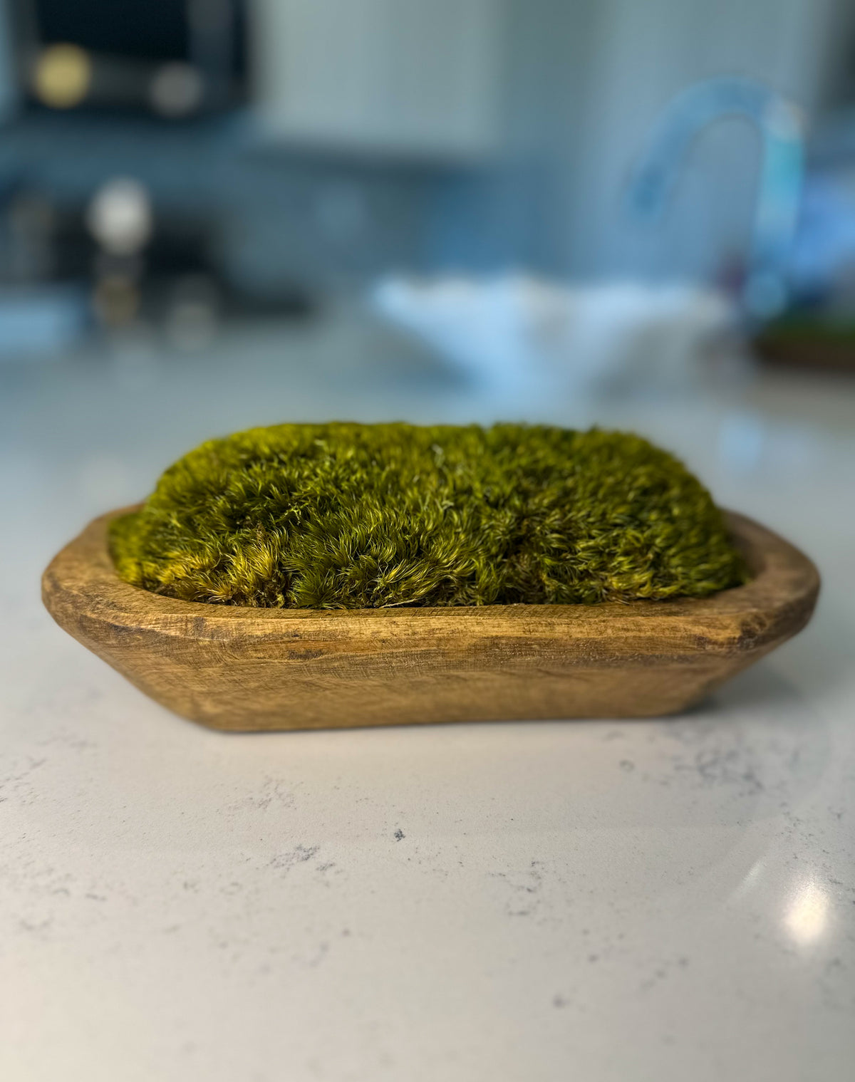 Side view of hand-carved wooden moss bowl filled with dark green preserved pillow moss.