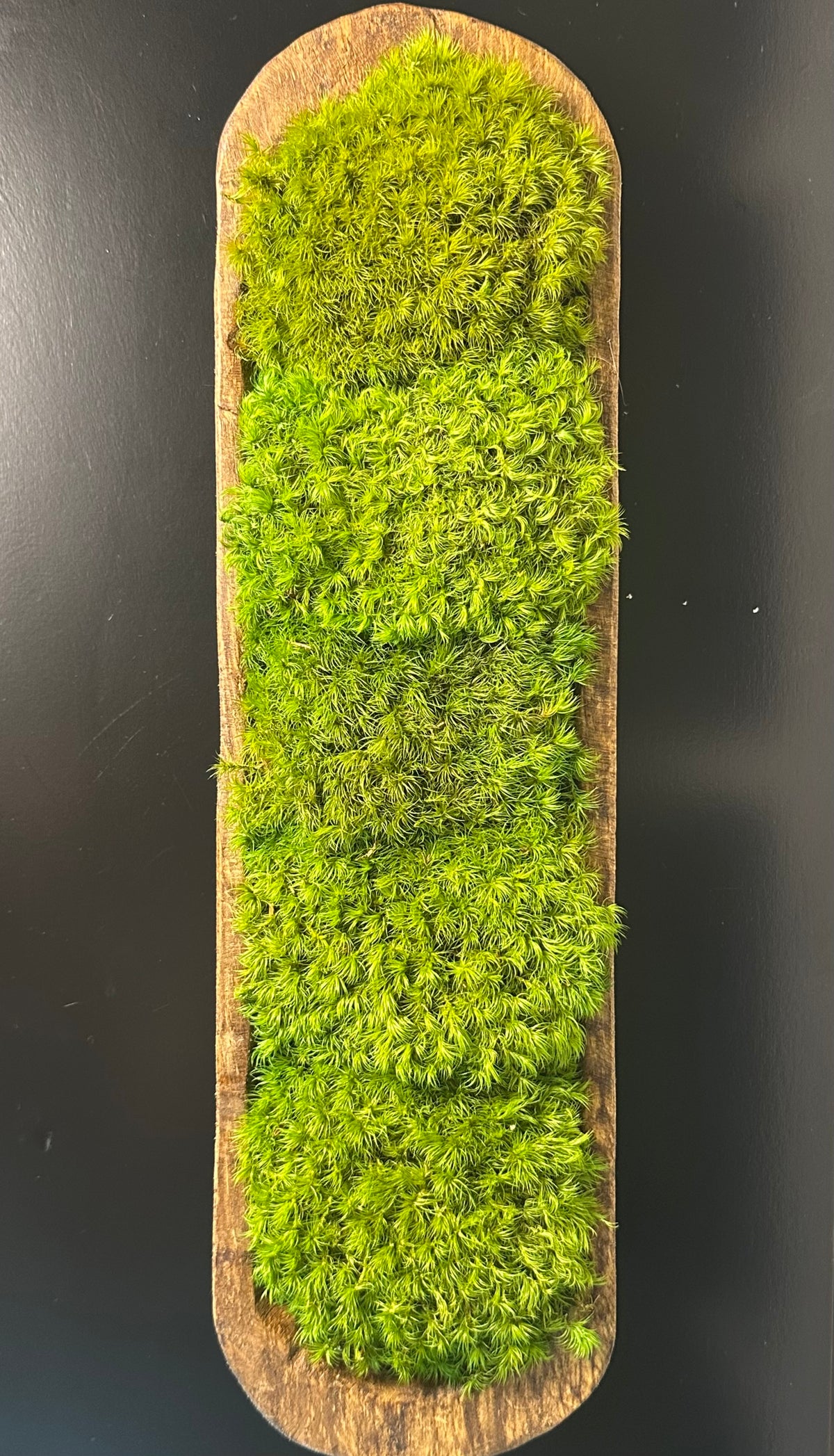 Overhead view of green preserved moss filling an elongated rustic wood dough bowl on a black tabletop.