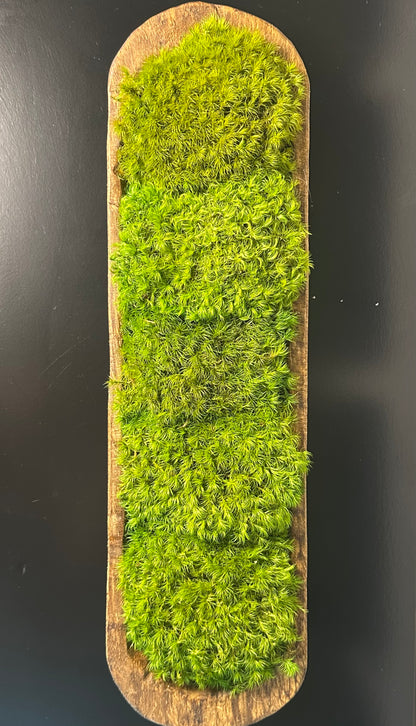Overhead view of green preserved moss filling an elongated rustic wood dough bowl on a black tabletop.