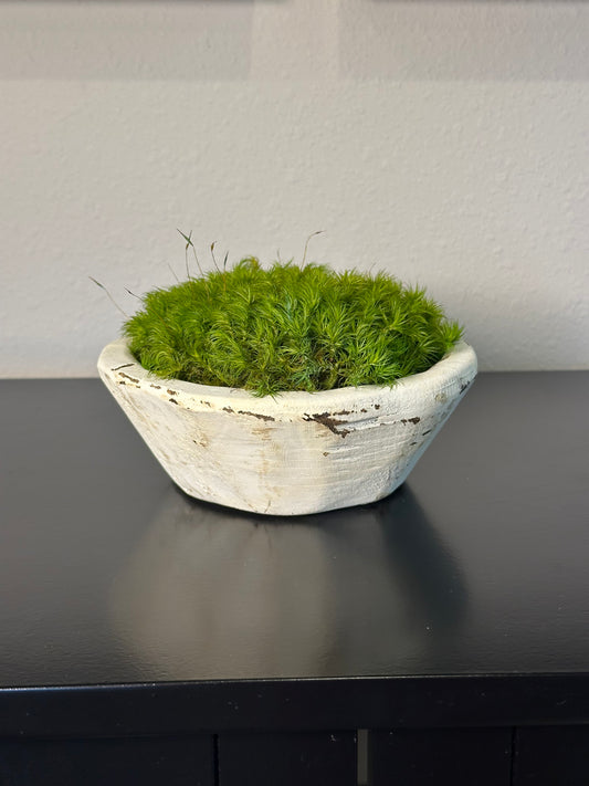 Rustic white hand-carved bowl filled with bright green preserved moss displayed on a black tabletop.