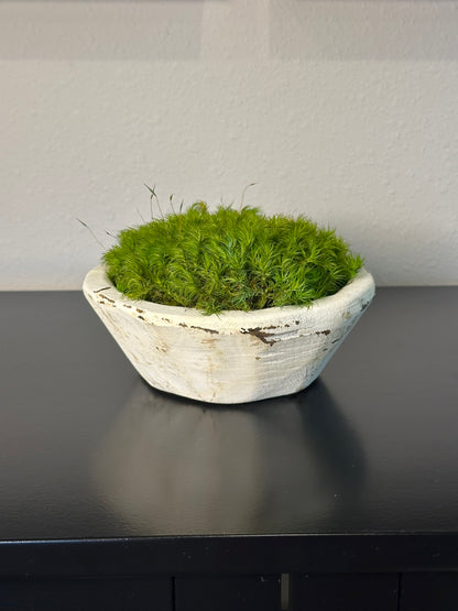Rustic white hand-carved bowl filled with bright green preserved moss displayed on a black tabletop.