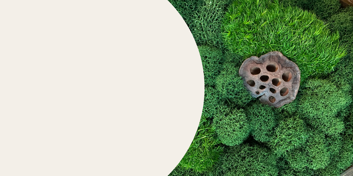 Close-up of handcrafted preserved moss art in varied shades of green with a natural lotus seed pod.