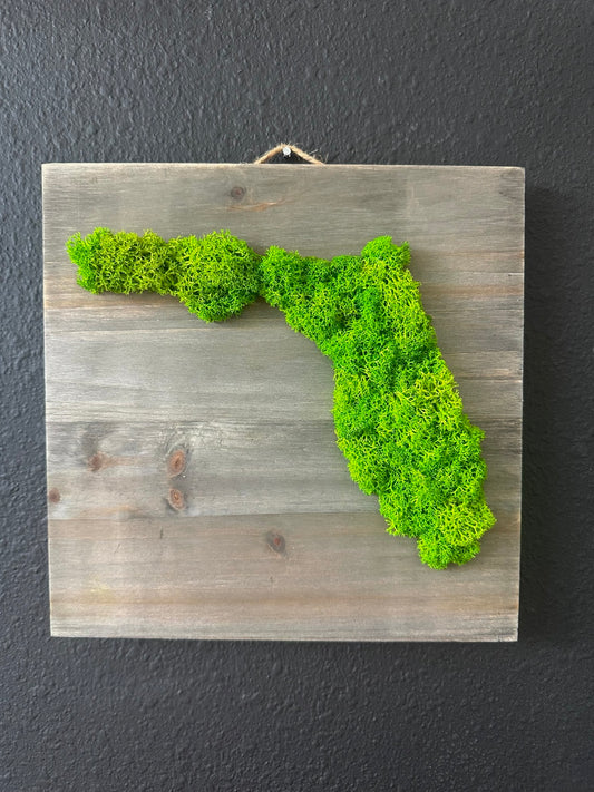 Bright green preserved moss in the shape of Florida on a square gray stained wood plaque with a rope hanger.