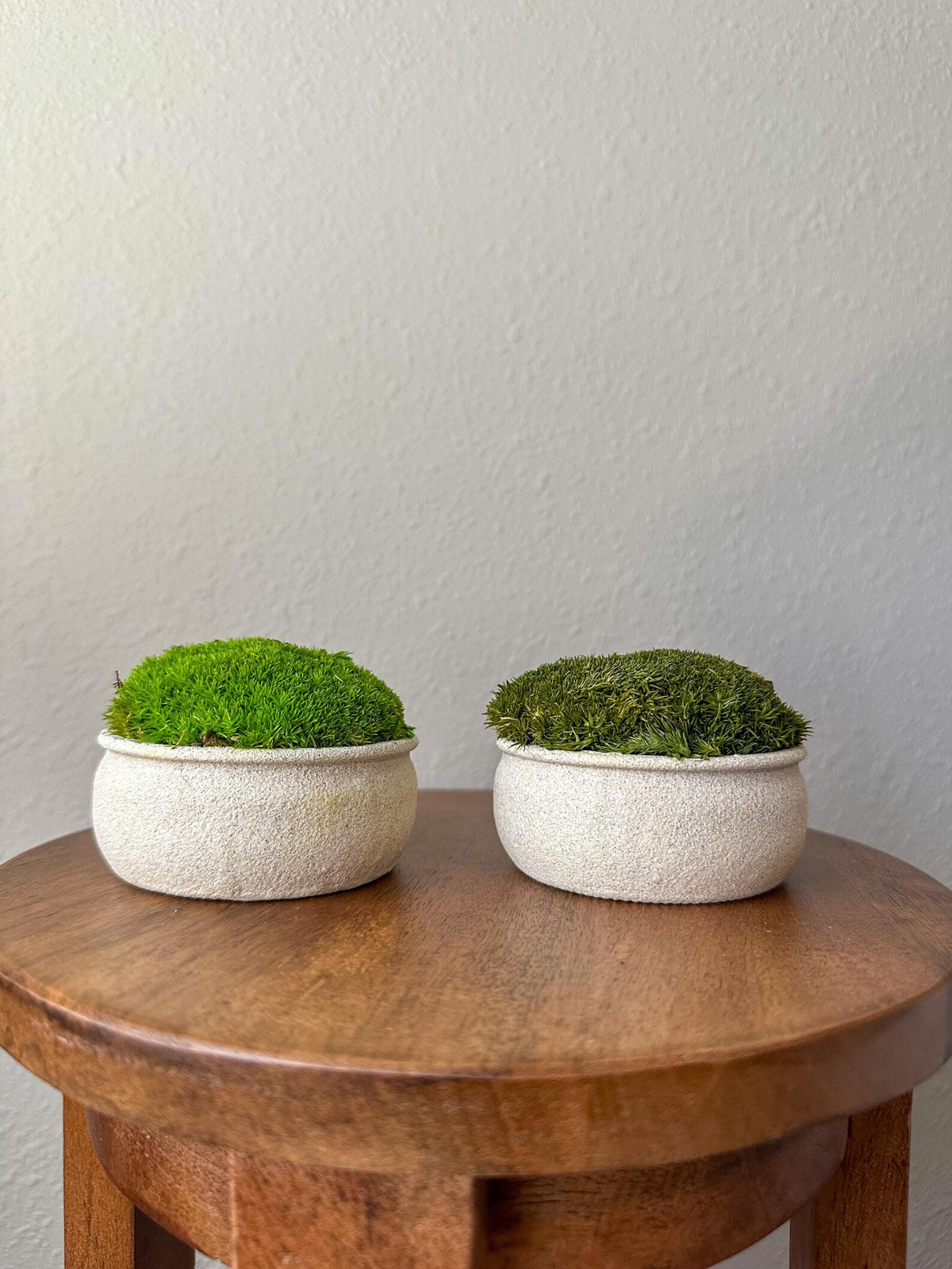 Two mini upcycled beige textured bowls with light and dark green preserved moss displayed on a wooden table.