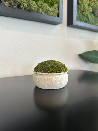 Mini upcycled beige textured bowl with dark green preserved moss styled on a black tabletop.