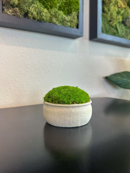 Mini upcycled beige textured bowl with light green preserved moss styled on a shelf.