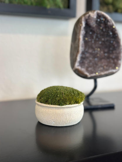 Mini upcycled beige textured bowl with preserved dark green moss displayed on a black tabletop
