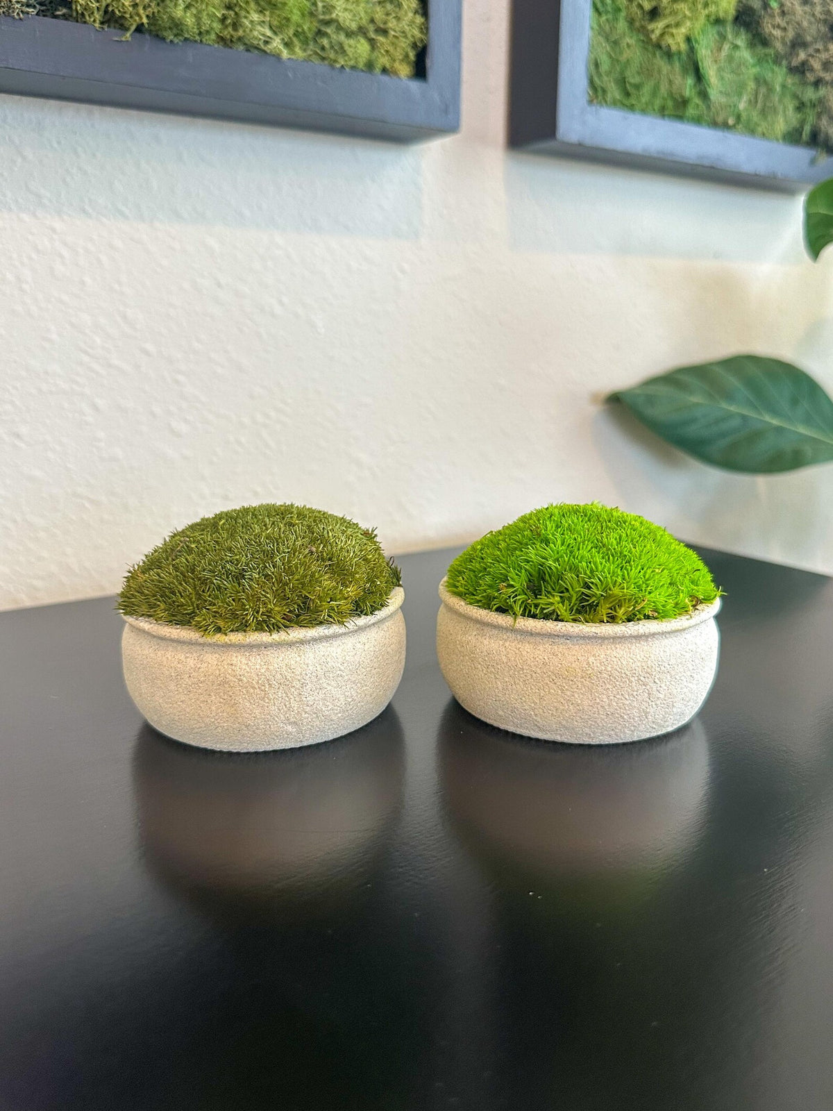 Two mini upcycled beige textured bowls with light and dark green preserved moss displayed on a black table