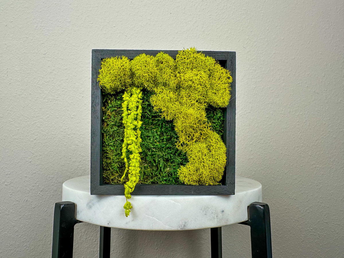 Mixed green preserved moss art with hanging botanicals displayed on a tabletop
