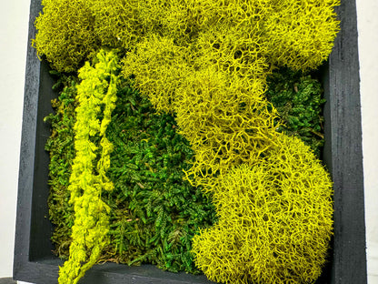 Close-up of mixed green preserved moss and cascading botanical accents in a black frame