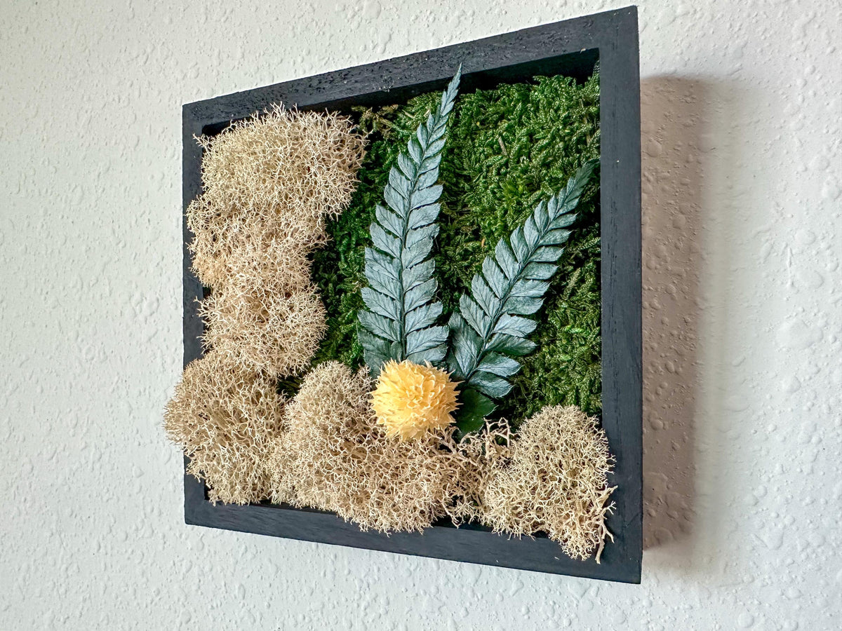 side angle of A square black frame piece containing green moss, tan lichen, two green ferns, and a small beige flower, mounted on a textured off-white wall.
