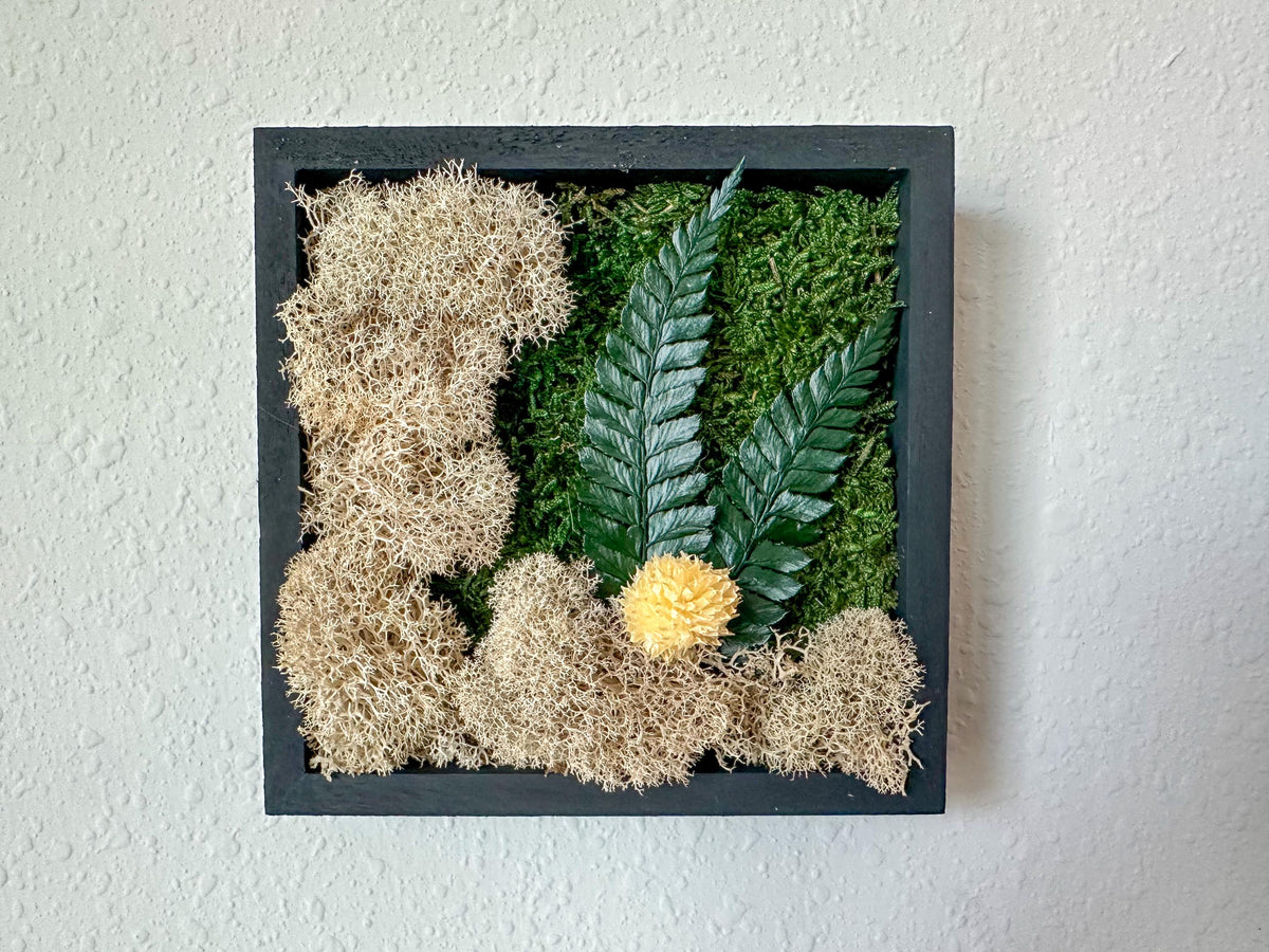 A square black frame piece containing green moss, tan lichen, two green ferns, and a small beige flower, mounted on a textured off-white wall.