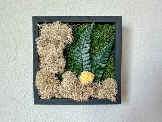 A square black frame piece containing green moss, tan lichen, two green ferns, and a small beige flower, mounted on a textured off-white wall.
