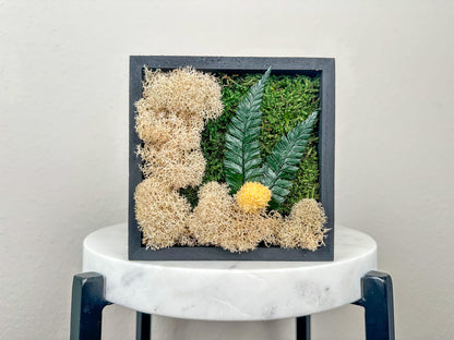 A square black frame piece containing green moss, tan lichen, two green ferns, and a small beige flower, mounted on a small marble tabletop