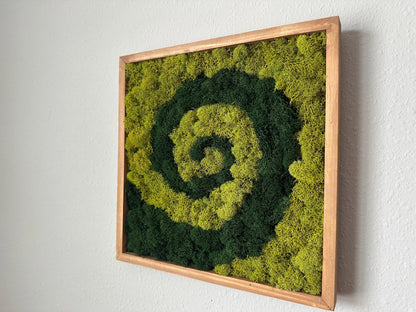 side angle of a square framed moss wall art piece featuring a spiral pattern of dark green and lime green moss, mounted on a textured white wall.