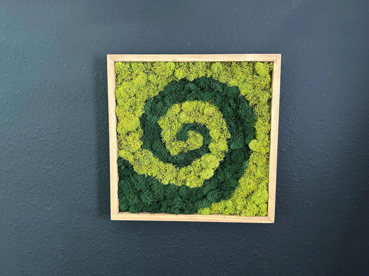 A square framed moss wall art piece featuring a spiral pattern of dark green and lime green moss, mounted on a textured black wall.