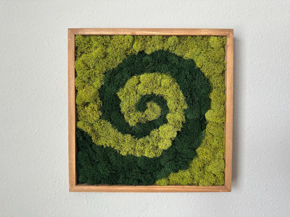 A square framed moss wall art piece featuring a spiral pattern of dark green and lime green moss, mounted on a textured white wall.