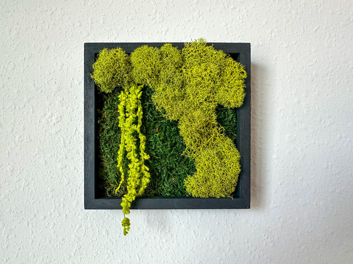 Mixed green preserved moss wall art with hanging botanical accents in a black square frame