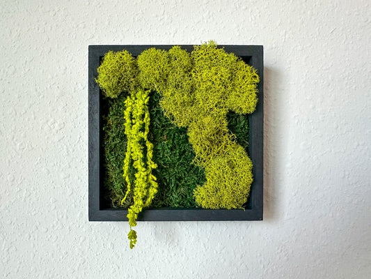 Mixed green preserved moss wall art with hanging botanical accents in a black square frame