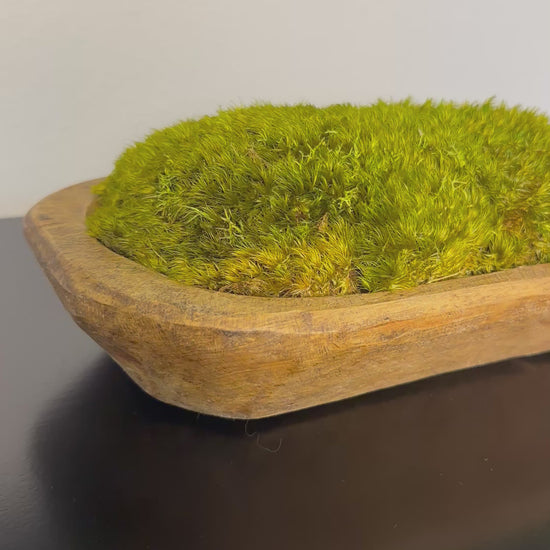 Hand-carved wood dough bowl filled with green preserved moss, shown on a dark tabletop.