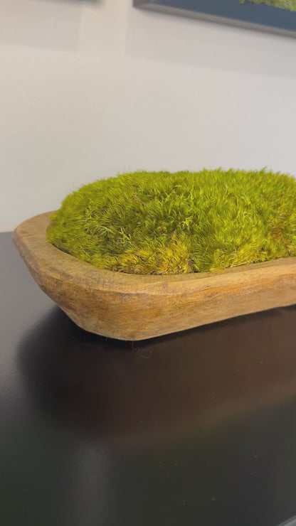 Hand-carved wood dough bowl filled with green preserved moss, shown on a dark tabletop.