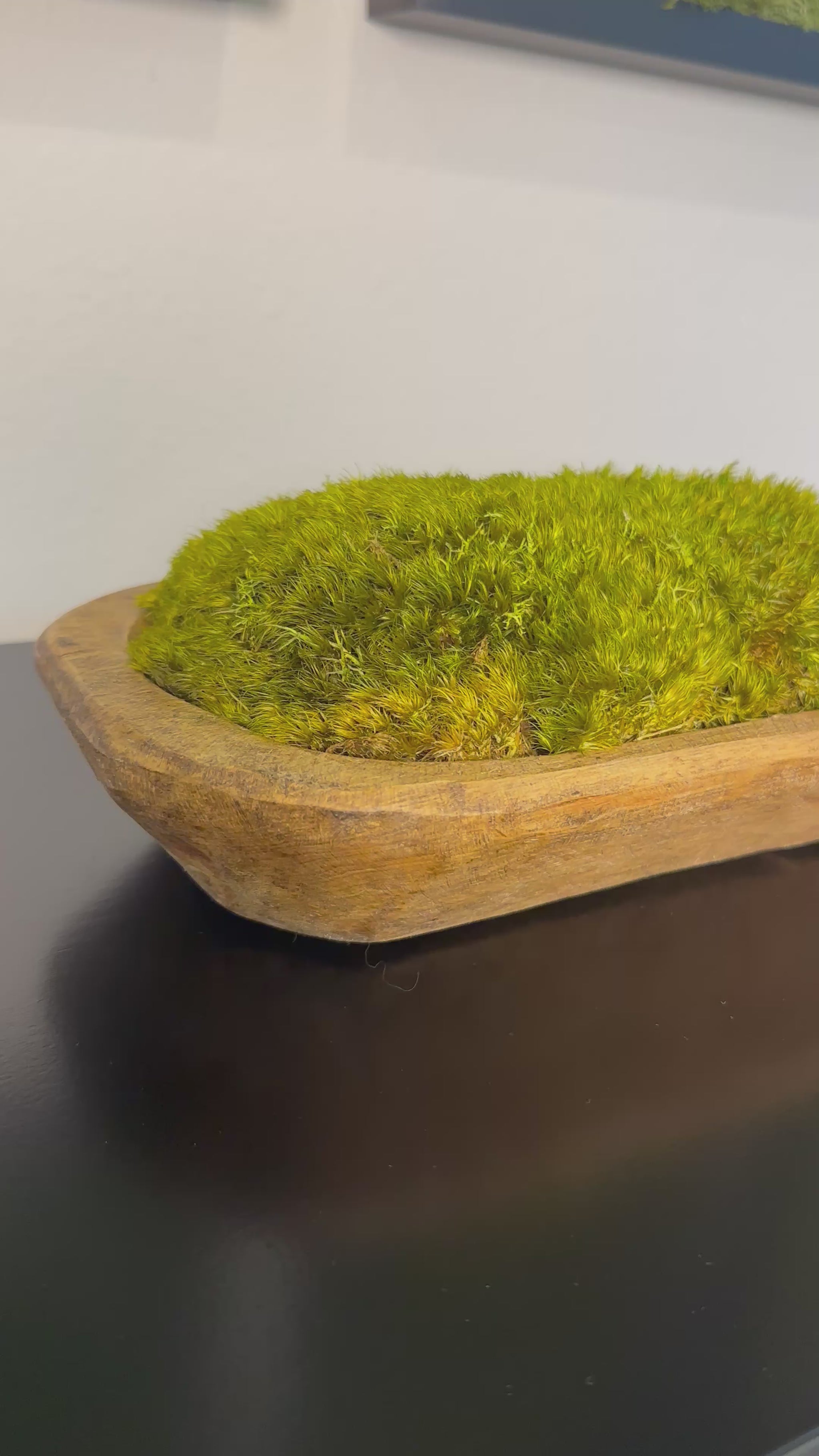 Hand-carved wood dough bowl filled with green preserved moss, shown on a dark tabletop.